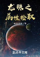 龙珠之属性捡取在线阅读