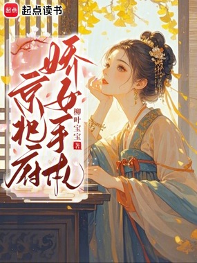 京兆府娇女手札在线阅读