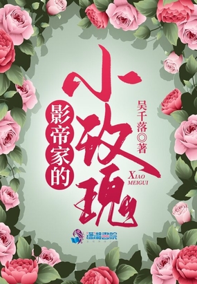影帝家的小玫瑰在线阅读