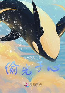 偷光于心