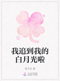 我追到我的白月光啦
