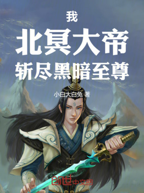 我，北冥大帝，斩尽黑暗至尊在线阅读