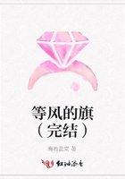 等風的旗（完結）在線閱讀