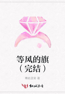 等風的旗(完結)