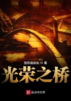 光荣之桥在线阅读