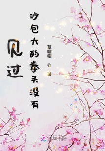見過沙包大的拳頭沒有
