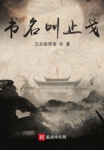 書名叫止戈