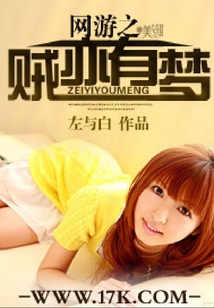網游之賊亦有夢