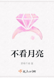 不看月亮