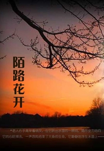 陌路花開