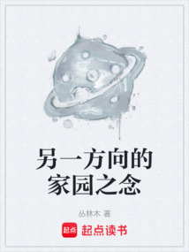 另一方向的家園之念