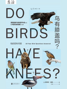 鳥有膝蓋嗎