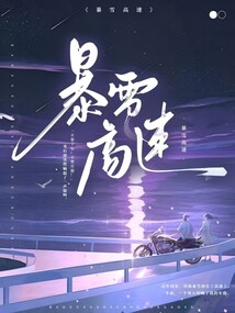暴雪高速
