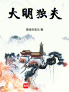 大明独夫在线阅读