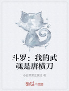 斗罗:我的武魂是唐横刀在线阅读