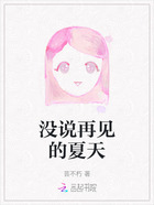 没说再见的夏天在线阅读