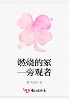 燃燒的冢—旁觀者在線閱讀