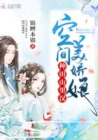 種田山里漢：空間美嬌娘在線閱讀