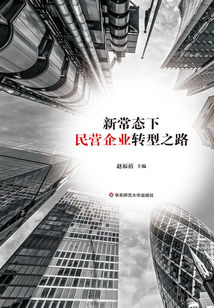 新常態(tài)下民營(yíng)企業(yè)轉(zhuǎn)型之路