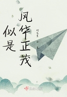 似是風華正茂在線閱讀