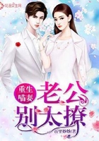 重生喵妻：老公别太撩在线阅读