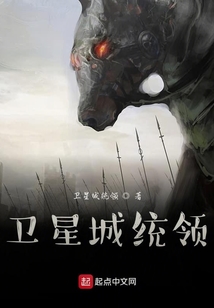 衛星城統領