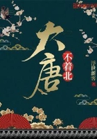 大唐不着北在线阅读