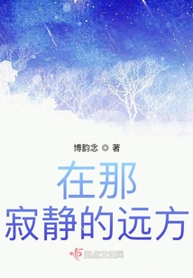 在那寂靜的遠(yuǎn)方