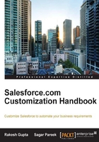 Salesforce.com Customization Handbook