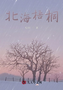 北海梧桐