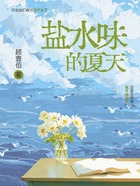 盐水味的夏天在线阅读