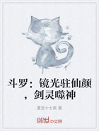 斗罗:镜光驻仙颜,剑灵噬神在线阅读