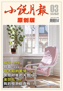 小說(shuō)月報(bào)·原創(chuàng)版(2017年第3期)