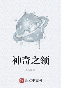 神奇之领