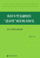 农村小型金融组织“适应性”成长模式研究：基于普惠金融视角