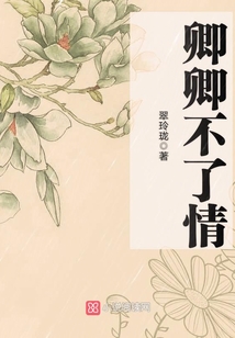 卿卿不了情