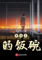平凡人的饭碗在线阅读