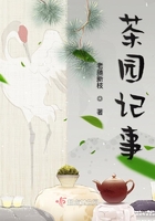 茶園記事在線閱讀