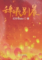 辭曦別晨在線閱讀