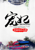宠妃在线阅读