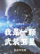 我是一颗武装卫星在线阅读