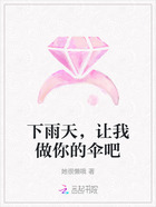 下雨天,让我做你的伞吧在线阅读