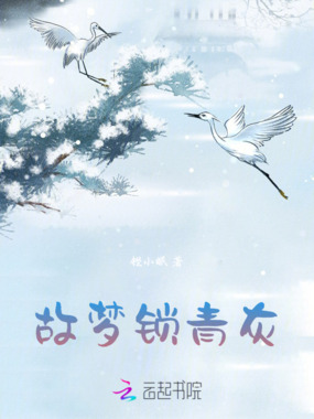 故梦锁青灰在线阅读