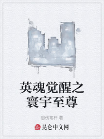 英魂覺醒之寰宇至尊