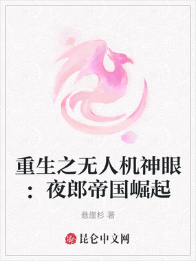 重生之无人机神眼：夜郎帝国崛起在线阅读