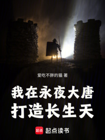 我在永夜大唐打造长生天 cover