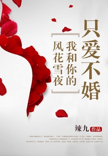 只愛不婚：我和你的風花雪夜