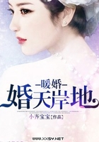 暖婚之婚天岸地在線閱讀
