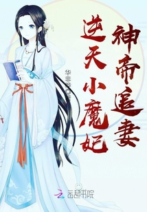 逆天小魔妃，神帝追妻