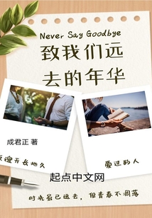 致我们远去的年华